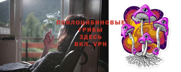 дмт Абаза