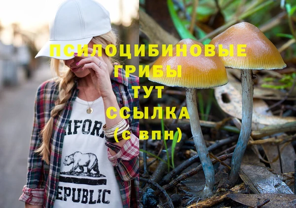 гидропоника Абдулино