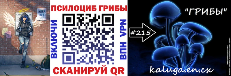 OMG маркетплейс  Холм  дарк нет клад  купить наркотики цена  Галлюциногенные грибы Psilocybe 